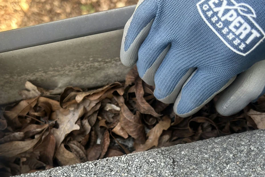 Gutter Cleaning Riverbend