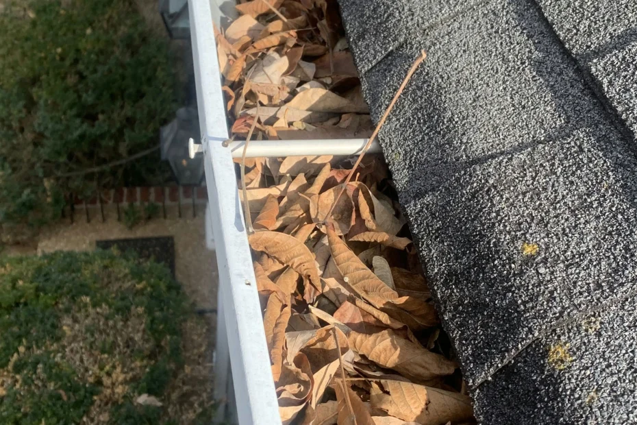 Gutter Cleaning Riverbend